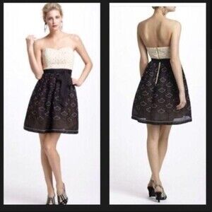 MEADOW RUE Anthropologie Strapless Lace Embroidered Twee Dress Size 10
